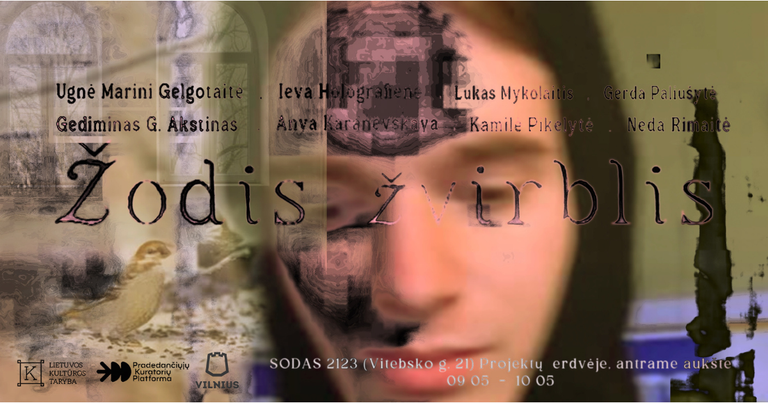 GUIDED TOUR curator V. Zienka | 18:00